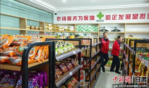 戈壁深处的安心站 肃北供销社如何成为牧民的日用百货港湾