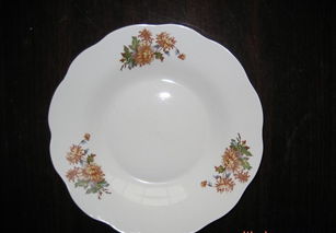 陶瓷汤盘 8寸盘子的价格、厂家与选购指南